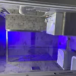 فندق باتريا